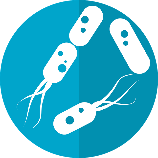 bacteria-icon-gd1626bf20_640